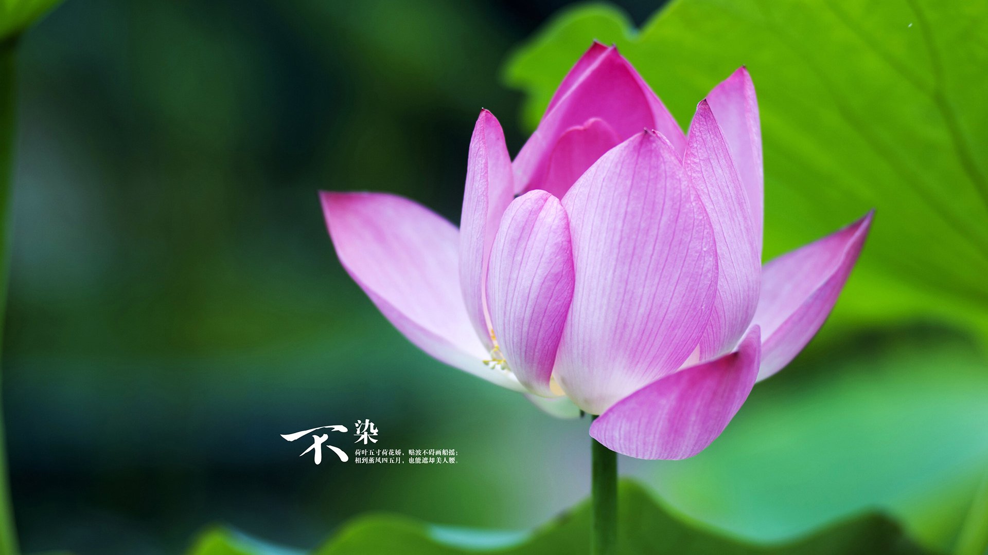 全国青少年“体育+文化”融合创新大赛在南京盛大举办，推动多元文化交流