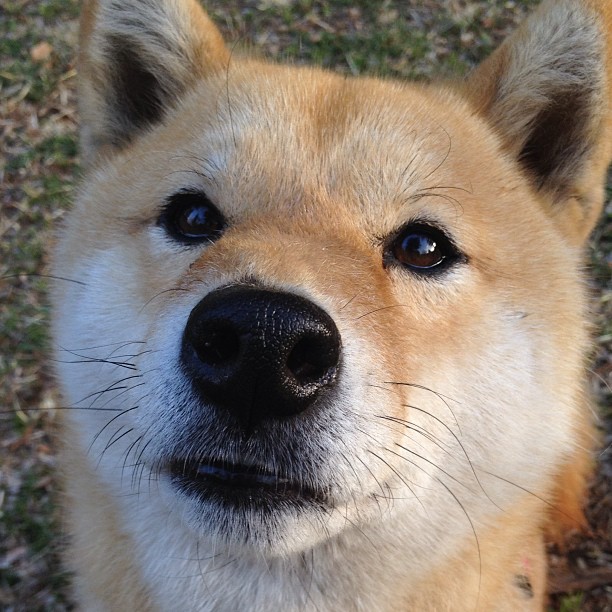 kaiyun开云·官方网站-《超级战队集结：阵容碾压对手的秘密》，超级战队杂谈